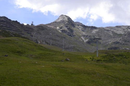 Pfelders