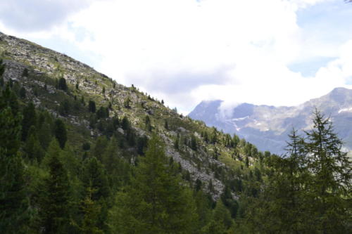 Pfelders