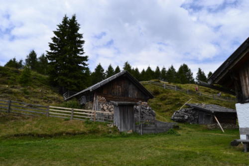 hirzer