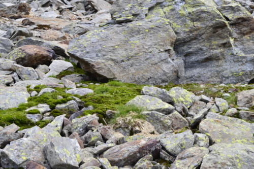 Timmelsjoch