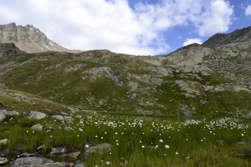 Timmelsjoch