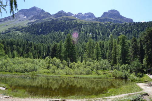 Martelltal