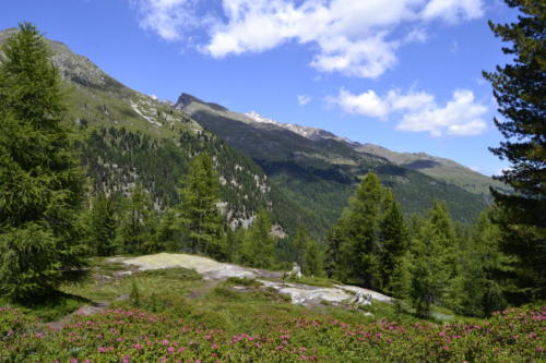 Martelltal