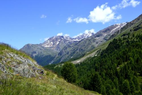 Martelltal