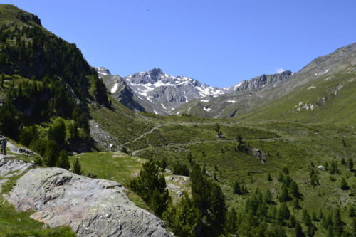 Martelltal