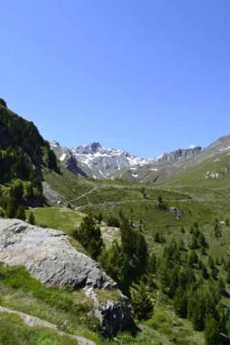 Martelltal