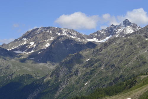 Martelltal