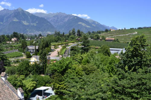 trauttmansdorff