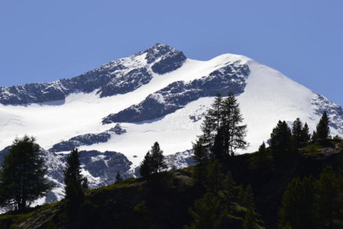 Martelltal