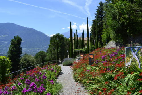 trauttmansdorff