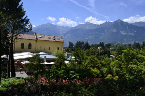 trauttmansdorff